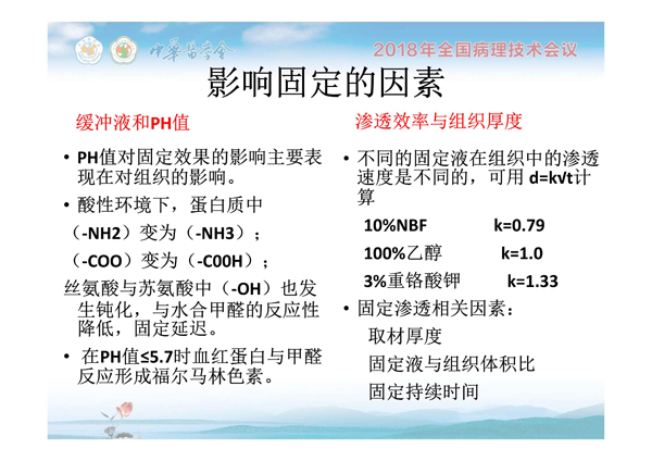 1554884605840503.jpg 0012.jpg