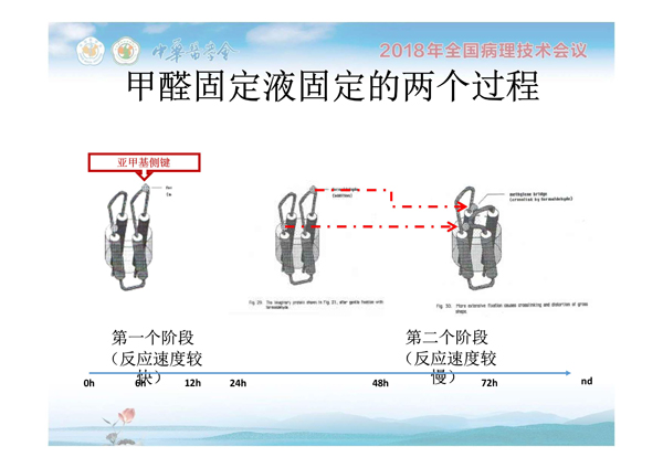 1554884614958961.jpg 0015.jpg