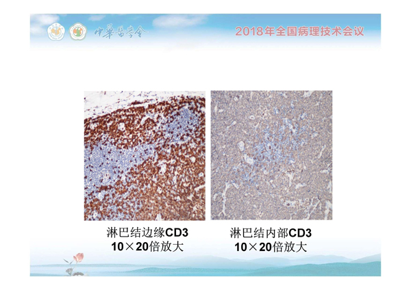 1554884617602876.jpg 0017.jpg