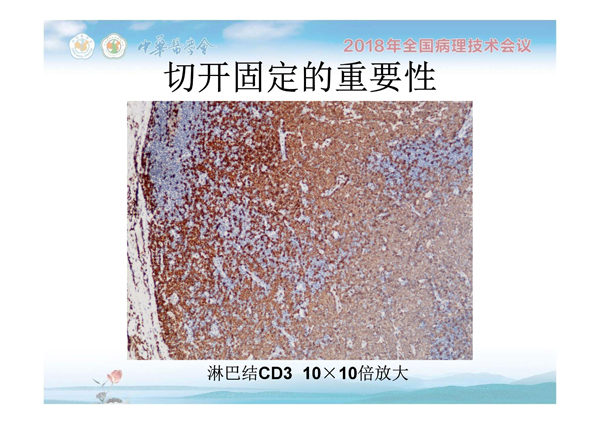 1554884622348973.jpg 0018.jpg