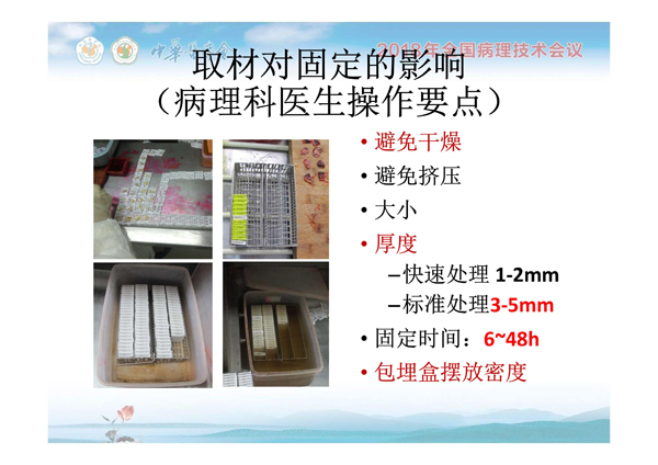 1554884663165234.jpg 0029.jpg